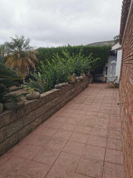 Los Cactus サンタクルスデテネリフェ エクステリア 写真
